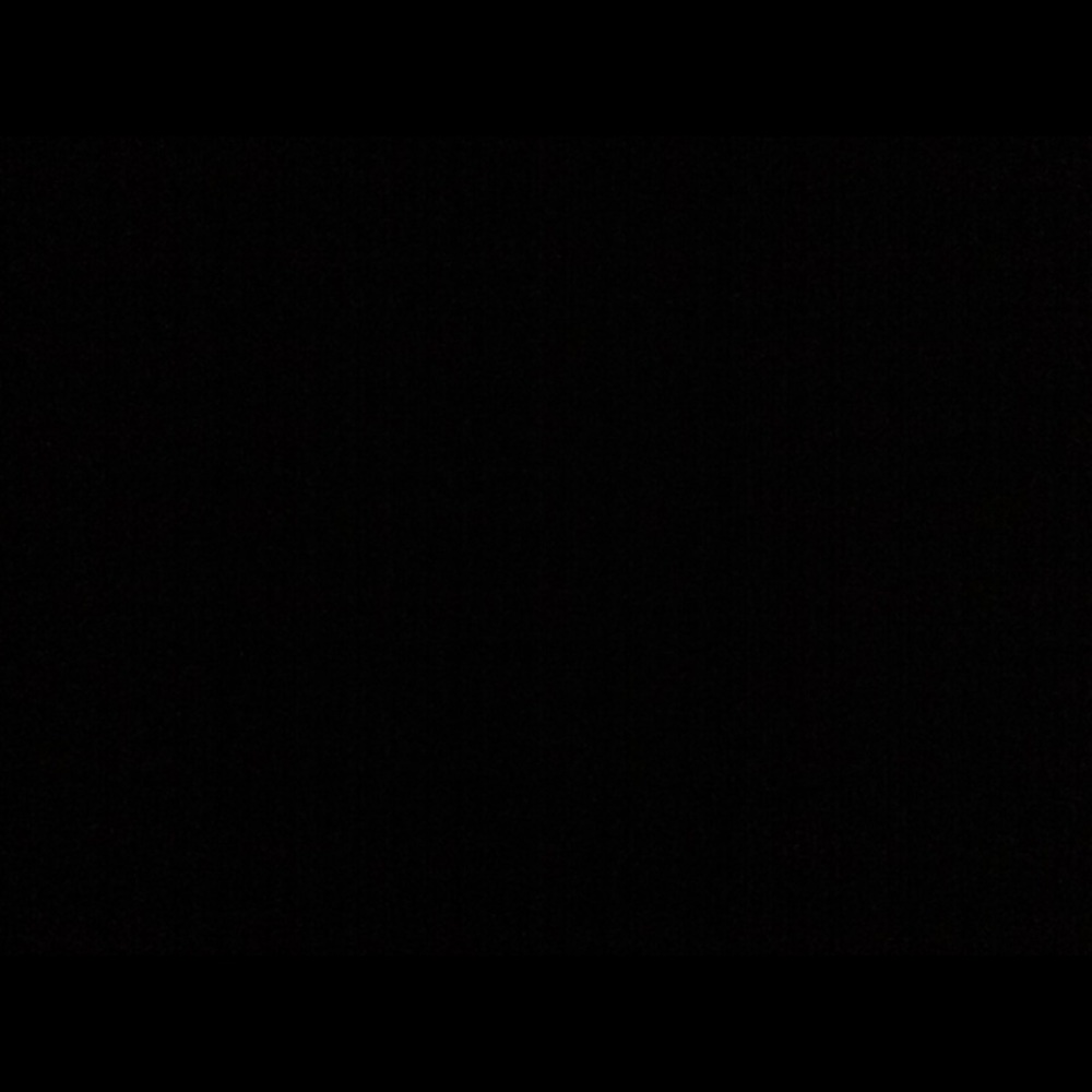 Meet your Posher, Damaris